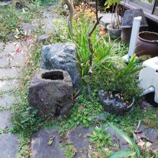 庭石