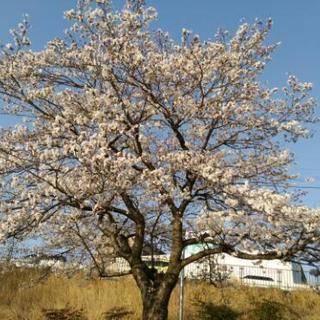 次回も宜しくお願いします‼️🌻🌻11月17日（日）に草津でカラオケオフ会します⭐ - 草津市