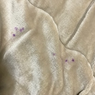 こたつ掛け布団、カバーセットの画像