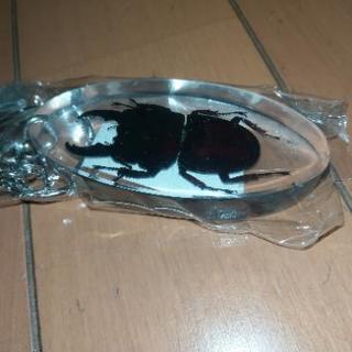 タウルスヒラタクワガタ　キーホルダー