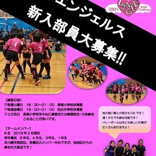 ♡リトルエンジェルス♡　川崎市多摩区で活動している小学生女子バレ...