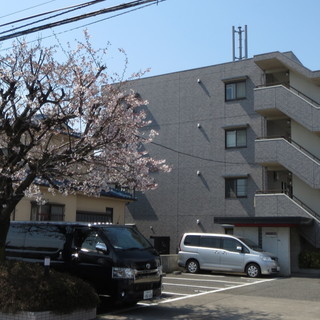 住友グループ施工　ハイグレードマンション「コンフリエ八幡町」　空き、出ます！ - 東久留米市