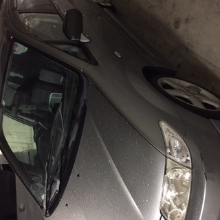 プレマシー　2.0L スポルトS【車検　H31年　7月　走行距離　６0,000km程度】の画像