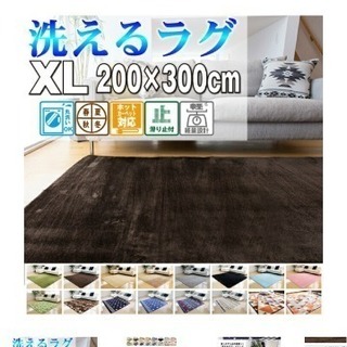 洗えるラグ 200×300cm