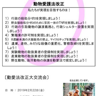本日！☆★「猫の日」不幸な犬猫達の為に、少しだけ時間をください！🐶🐈