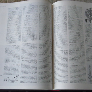 今ではなかなか手に入らない電気だけの百科事典と世界大百科事典のセットの画像