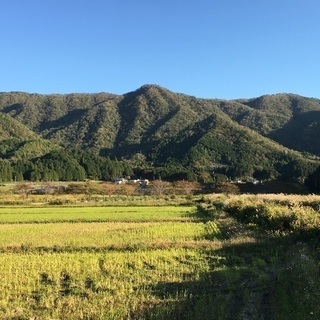 北摂の里山、荒廃した竹林を整備しましょう。