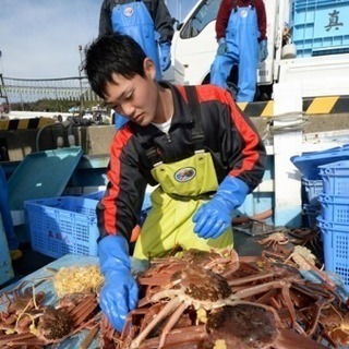 急募 稼げる 単発 限定 蟹漁の画像