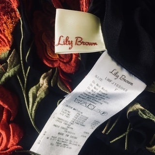 [急募]lily brown ブルゾンの画像