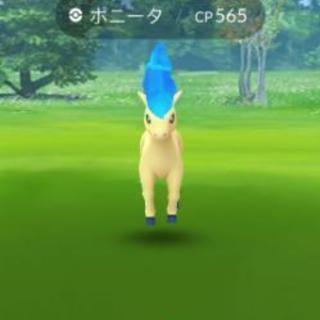 ポケモンGO仲間募集！！