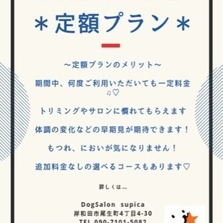トリミング定額プランができました😊✨