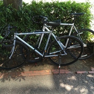 FUJI feather