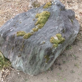 苔付き庭石 0円の画像