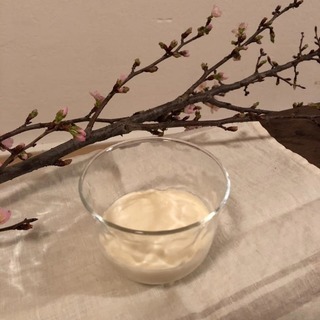 春の養生と発酵食品プチ講座