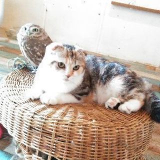 動物カフェでまったり🐾☕