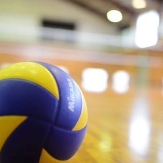 社会人の方バレーボールしましょ〜🏐✨