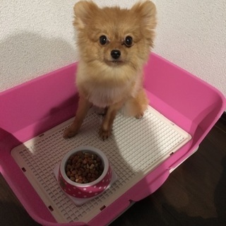 貰ってください。