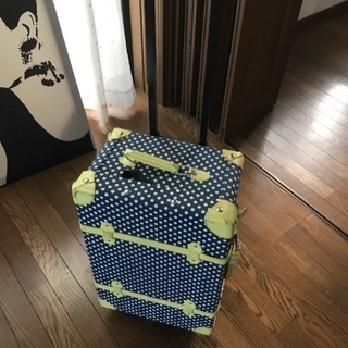 キャリーバック
