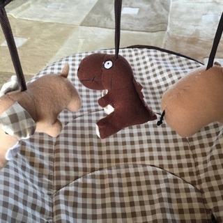 お譲り先決定しましたの画像