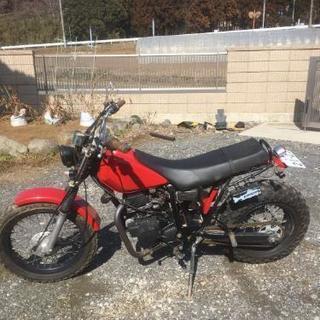 TW200の画像