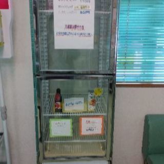 sanyo 冷蔵ショーケース