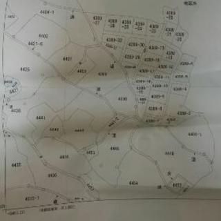 筑紫野市の山家山林貸します一区画一ヶ月一万～
