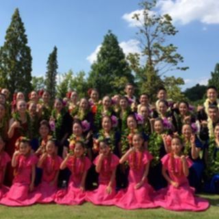 お友達作りに・・大人のフラダンス　流山おおたかの森　水曜日の画像