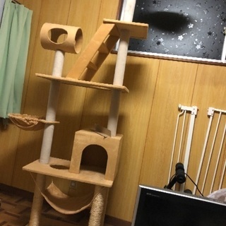キャットタワー