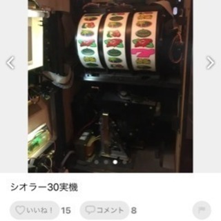 シオラー30です。の画像