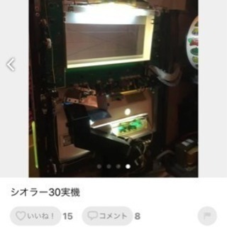 シオラー30です。の画像
