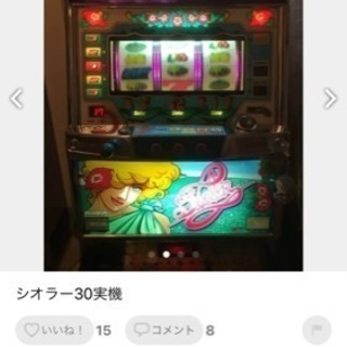 シオラー30です。の画像