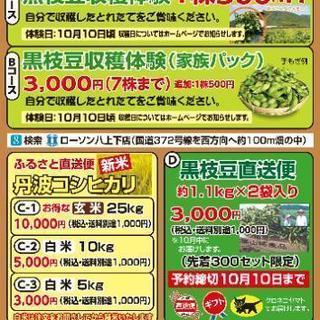 黒豆の農作業、農業体験、販売主婦歓迎、土・日曜日歓迎、副業、夜勤...