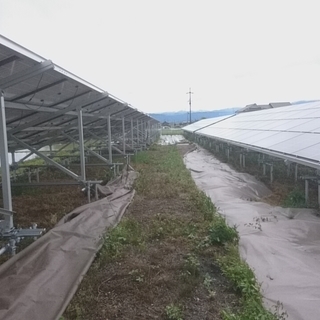 守山市　498万　太陽光発電で貸出中　土地の収益物件 - 守山市