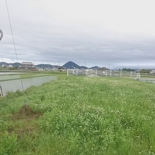 守山市　498万　太陽光発電で貸出中　土地の収益物件 - 土地販売/土地売買