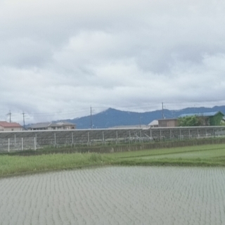 守山市　498万　太陽光発電で貸出中　土地の収益物件 − 滋賀県