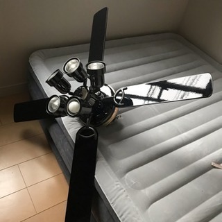 シーリングファンライト