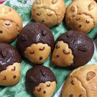 【初参加大歓迎】はりねずみメロンパン作り