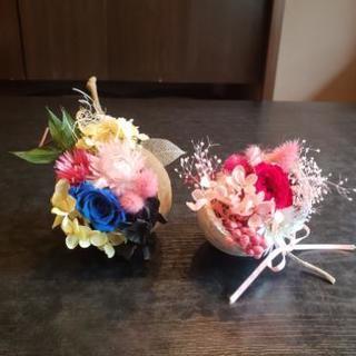 つめつめ ブッダナッツ レッスンの画像