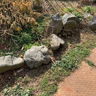庭石 各サイズ 沢山あります