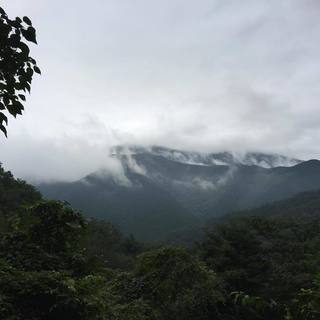 土地を探しています！