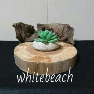 流木インテリア ラック