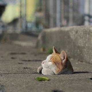 ✨✨🌈😌何かにハマりたいっ😆友達も欲しいっ🥰🌈ワイワイサークル🙌🏻✨✨