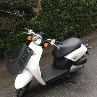 原付バイク【ホンダ トゥデイ】※バッテリー要交換