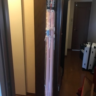 お届け限定 立川機工 ロールスクリーン 180×180 ピンク2本