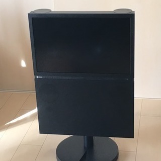 ジャンク テレビ EIZO FORIS.TV 2005年