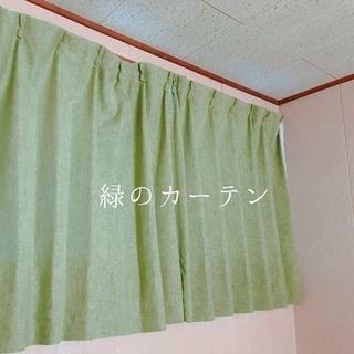 緑のカーテン