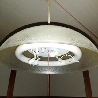 ●電気の傘●2/23(土)朝～15時までに取りに来れる方。差し上...