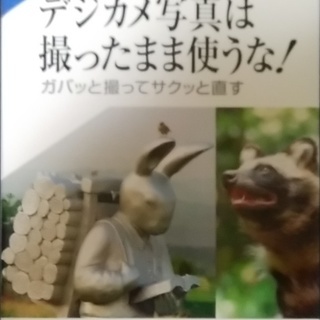 デジカメ写真は撮ったまま使うな！