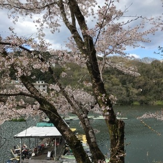 飲み友達！出来れば大田区近くで！