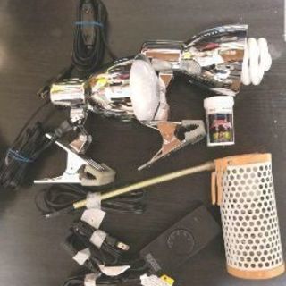 爬虫類　ライト